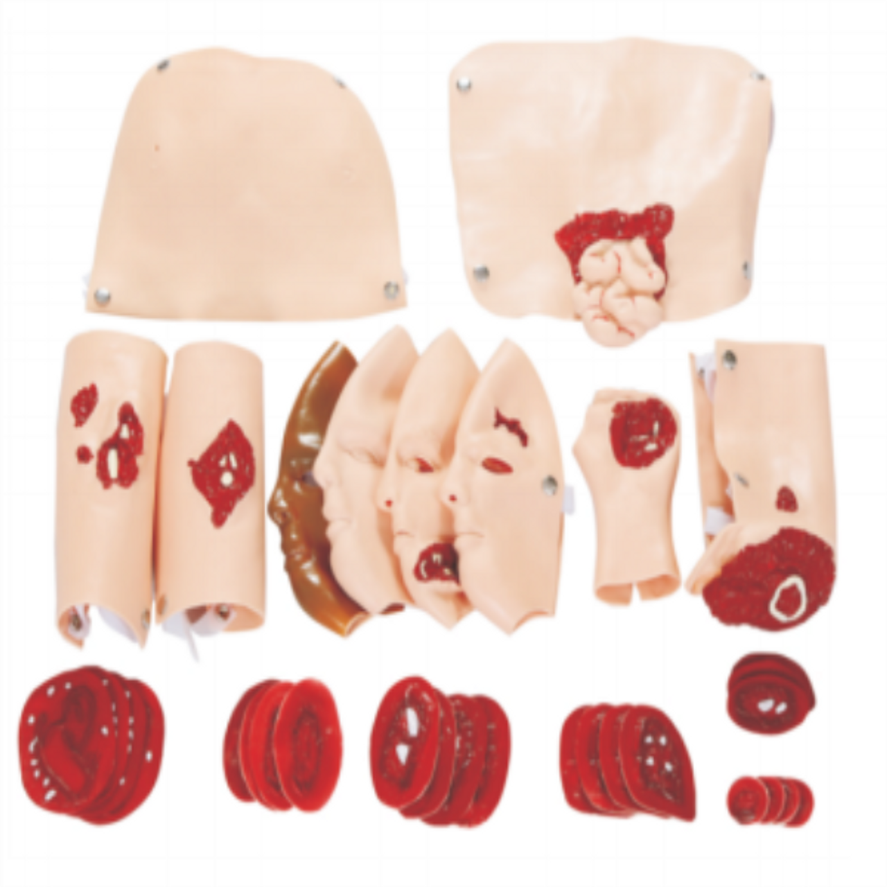 The Anatomy Lab Wound Assessment Module - 34 Piece Set can be used with any rescue and trauma manikin.