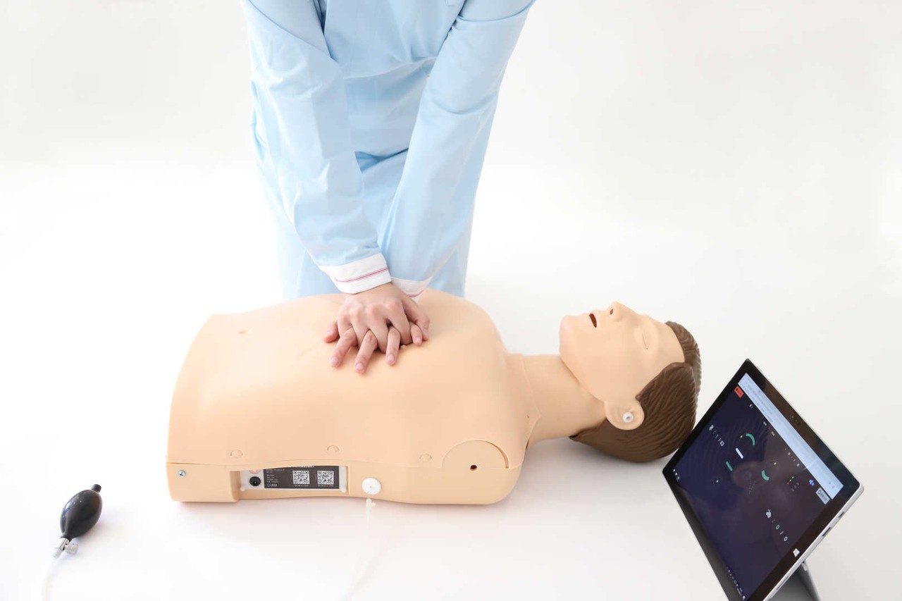 The Anatomy Lab Guardian Basic- 6 Count