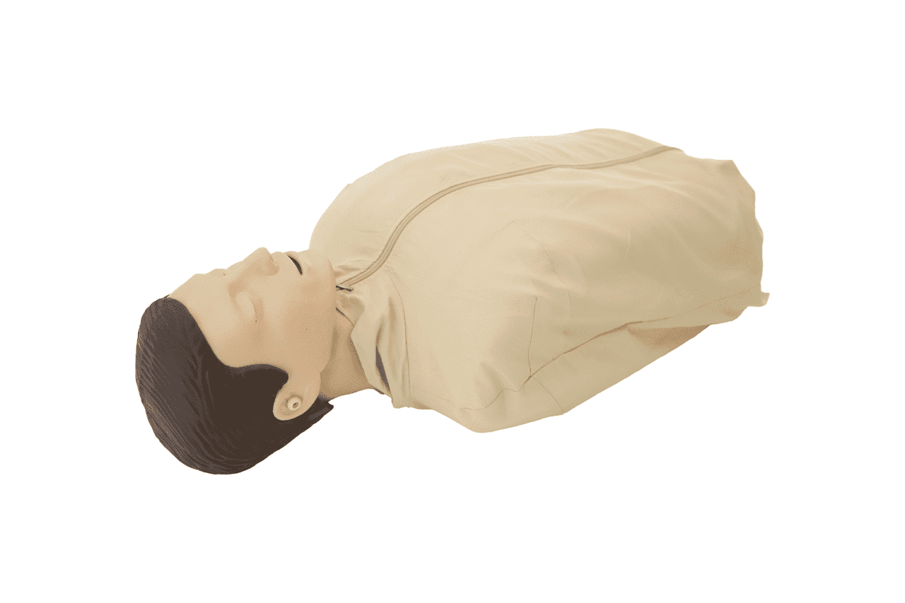 The Anatomy Lab Guardian Basic- 6 Count