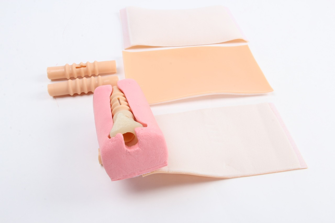 Anatomy Lab Advanced Thyrocricocentesis Tracheostomy Simulator