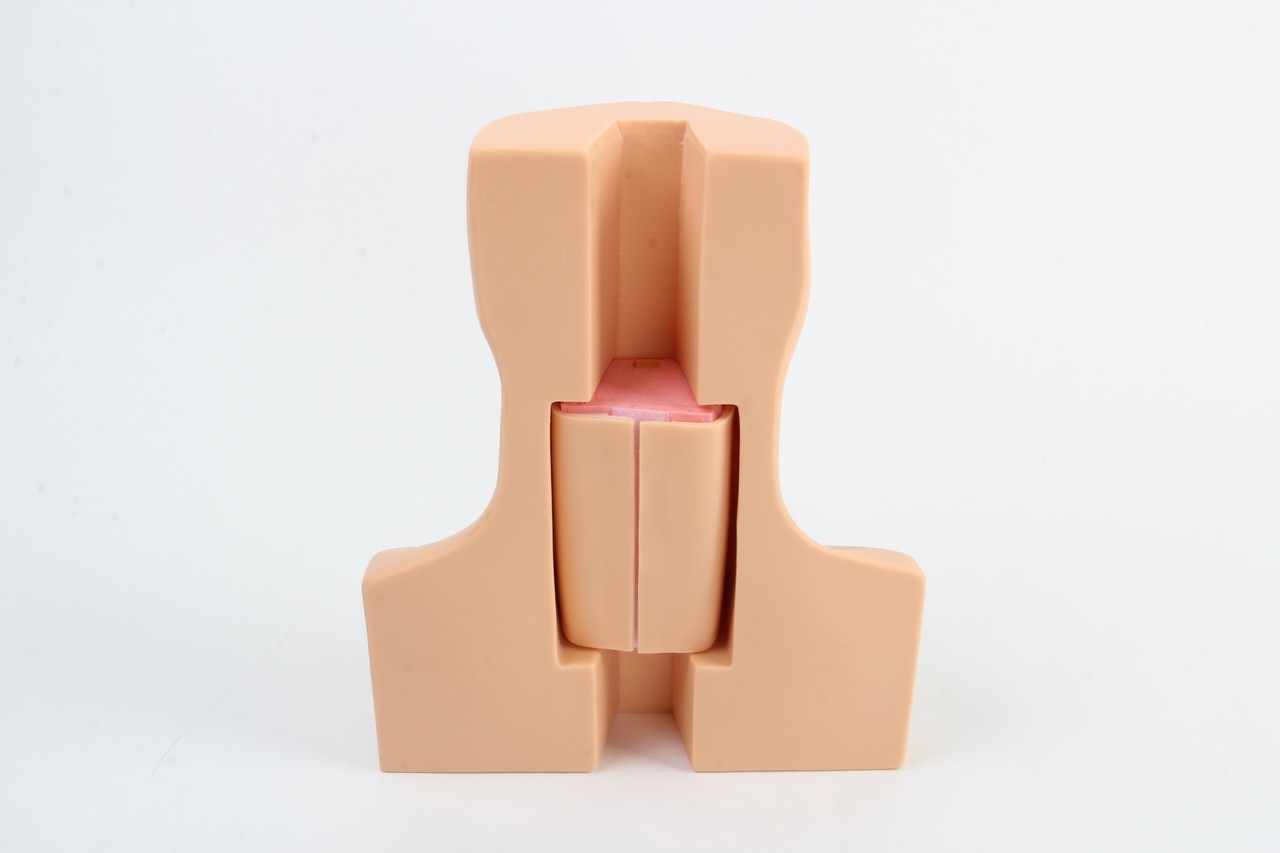 Anatomy Lab Advanced Thyrocricocentesis Tracheostomy Simulator