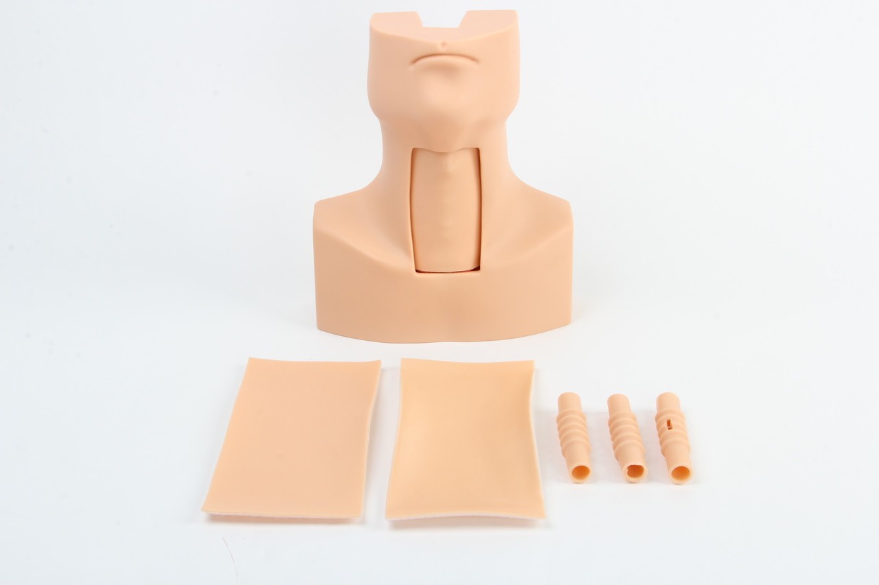 Anatomy Lab Advanced Thyrocricocentesis Tracheostomy Simulator