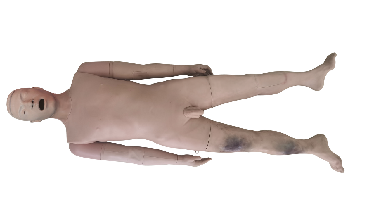 Manikin for clinical skills training including advanced airway management, NG/OG tubes placement, venipuncture, arterial blood collection, IM injection and more!