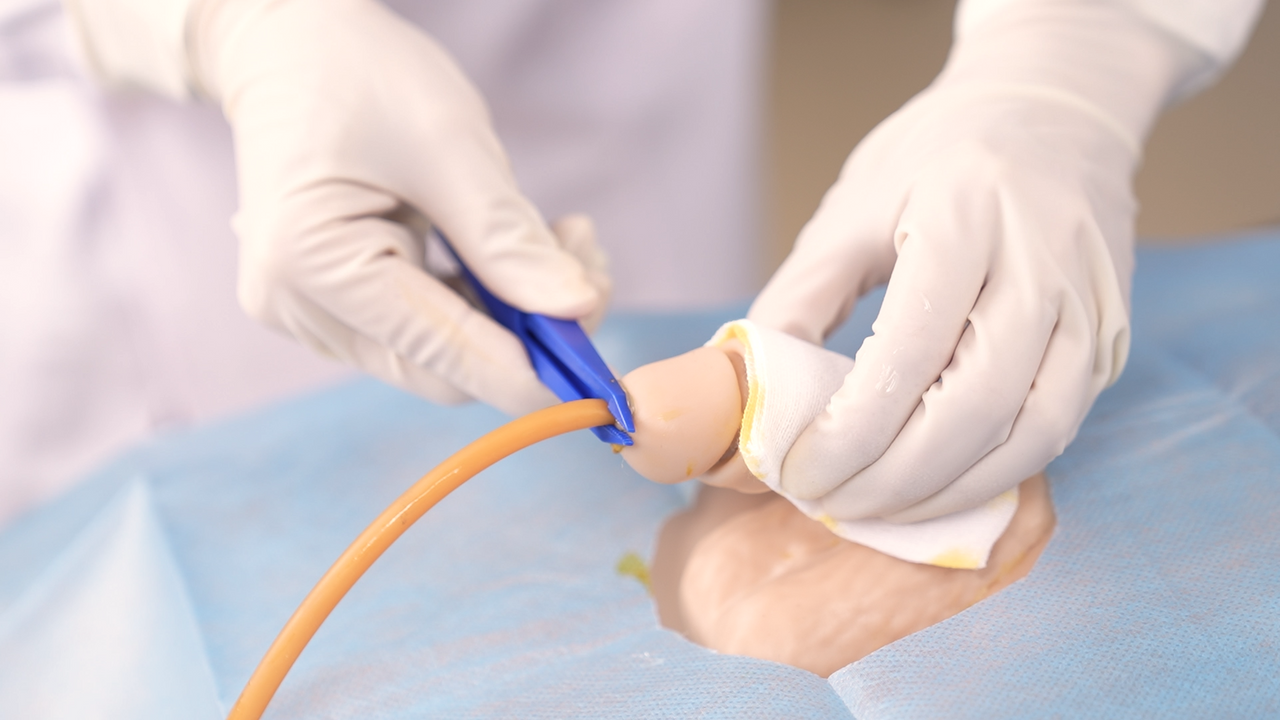 Manikin for clinical skills training including advanced airway management, NG/OG tubes placement, venipuncture, arterial blood collection, IM injection and more!