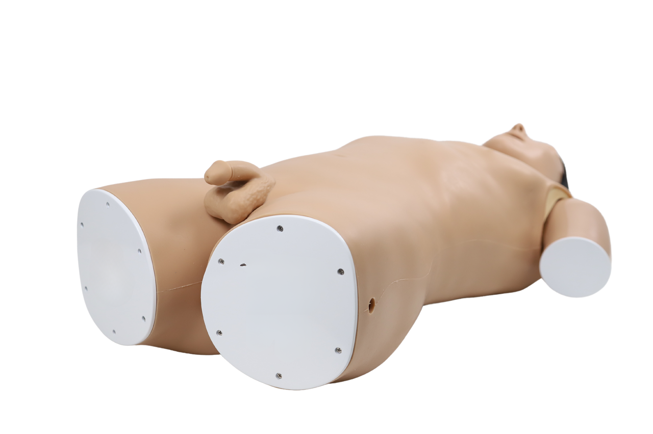 Upper GI Endoscopy Training Model