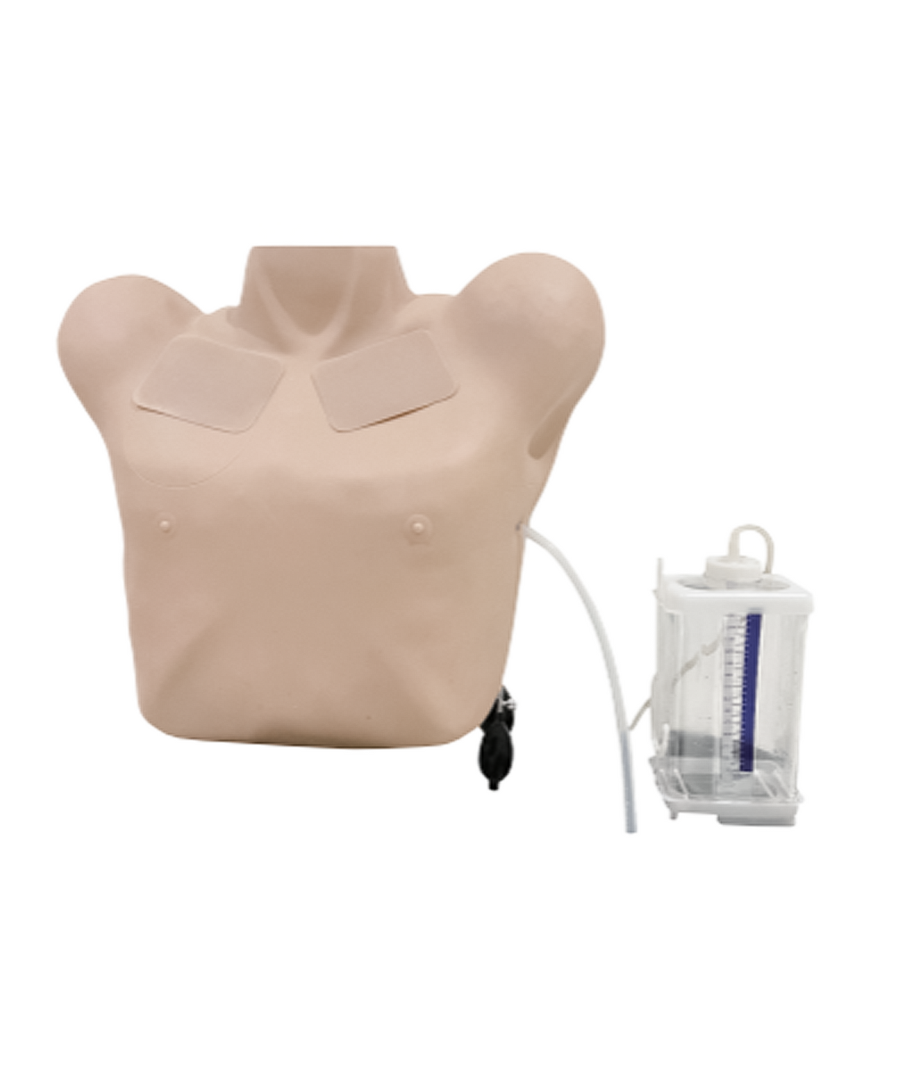 The Anatomy Lab Pneumothorax & Chest Drain Model