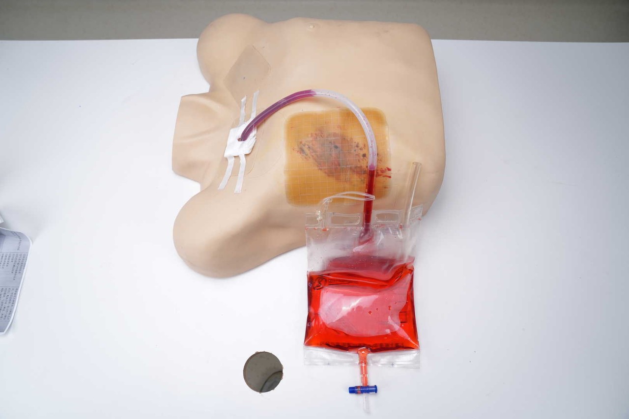 The Anatomy Lab Pneumothorax & Chest Drain Model