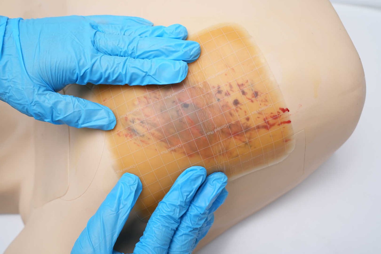 The Anatomy Lab Pneumothorax & Chest Drain Model