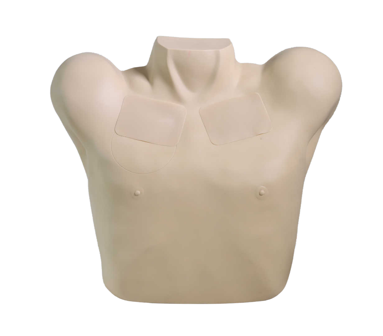 The Anatomy Lab Pneumothorax & Chest Drain Model