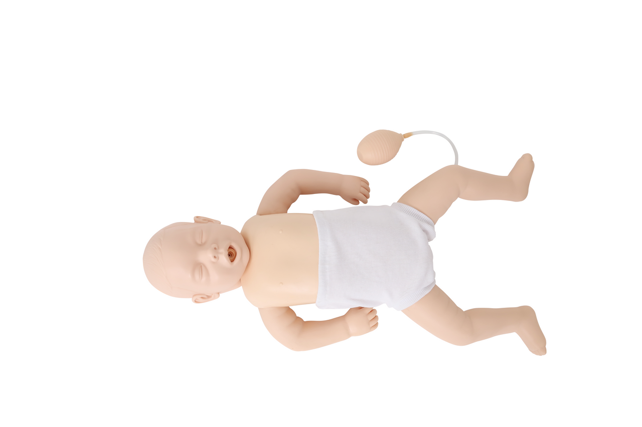 The Anatomy Lab Guardian Baby