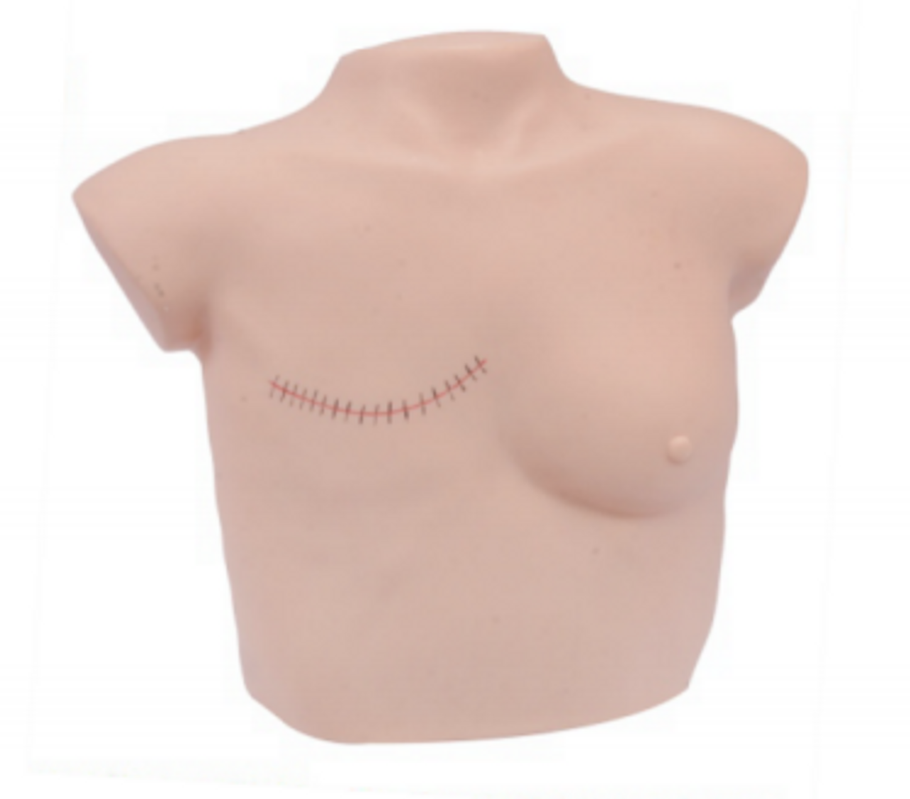 Wearable Breast Palpation Training Model