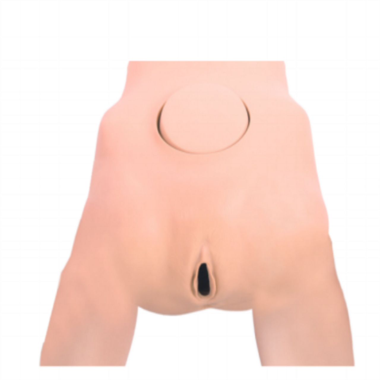 Pelvic Measurement Model