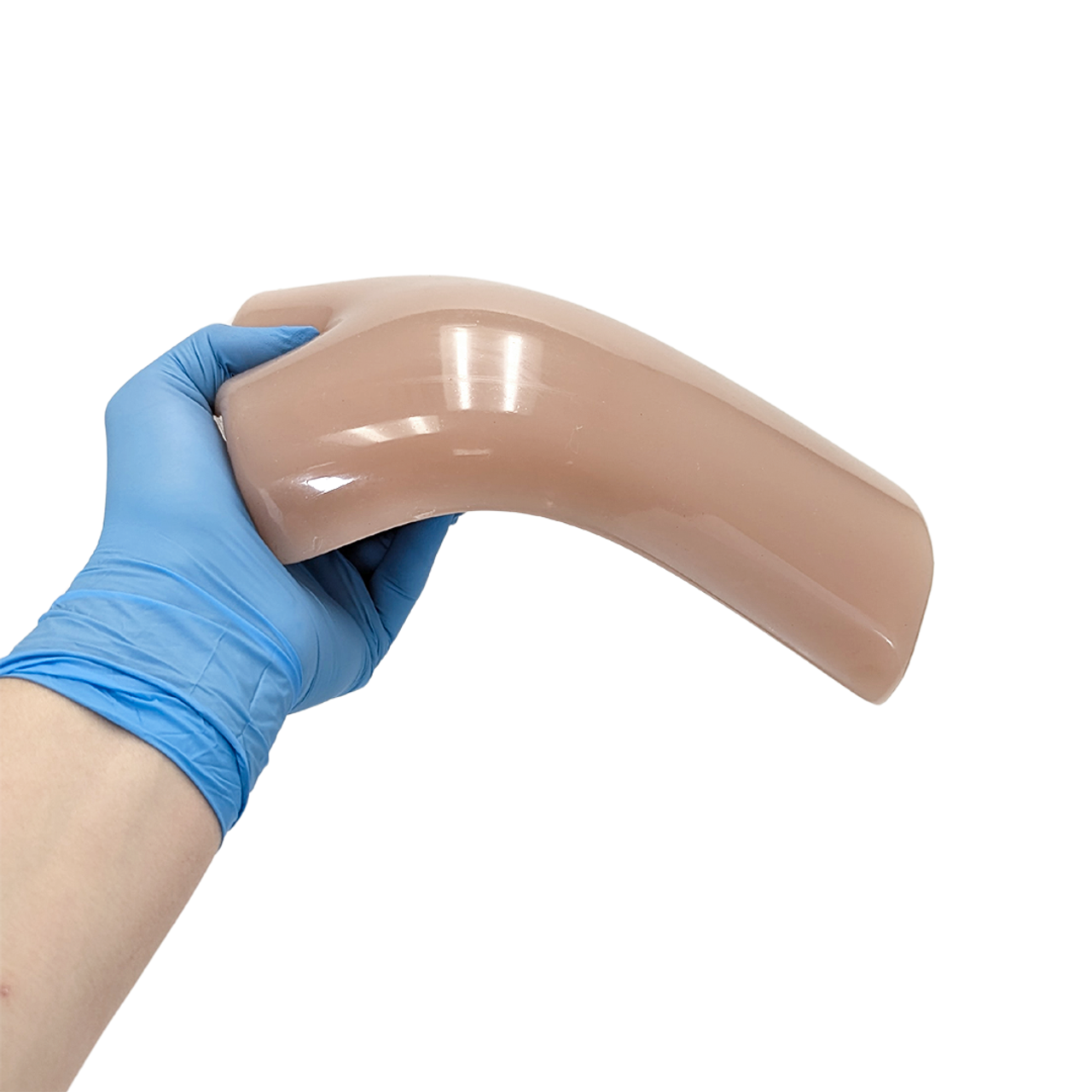 The Anatomy Lab Vascular Ultrasound Training Block with 5 Vessels