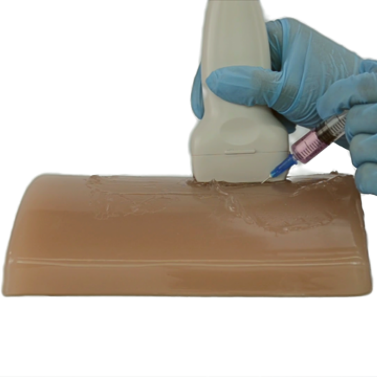 The Anatomy Lab Vascular Ultrasound Training Block with 5 Vessels