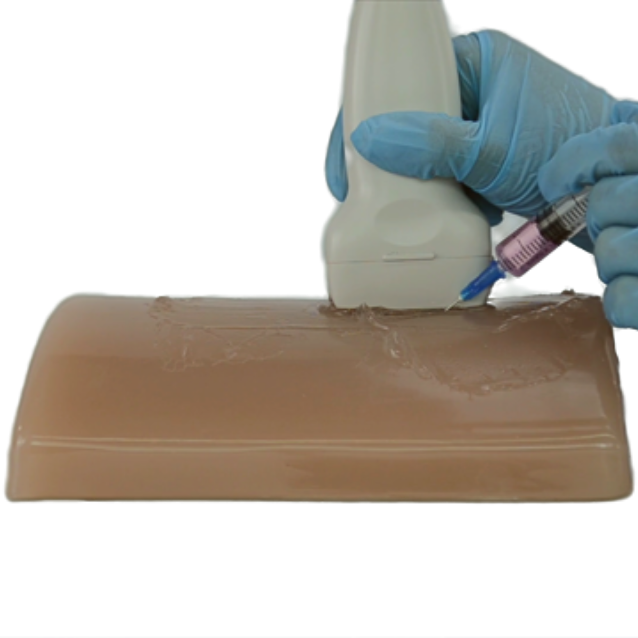 Anatomy Lab Crepitus Bone Fracture Ultrasound Training Block
