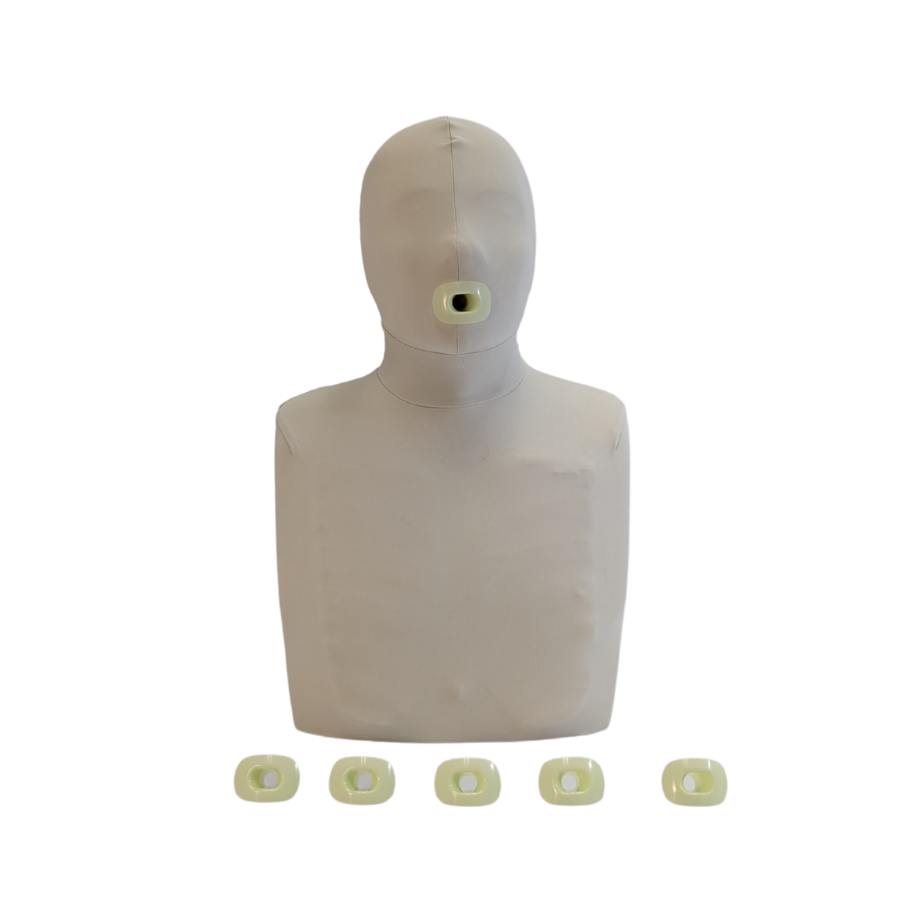Anatomy Lab Little Grey CPR Manikin