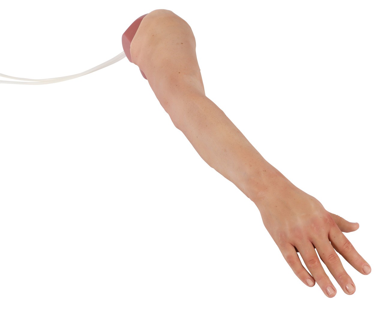 Puncture Pete Hyper Realistic I.V. Training Arm