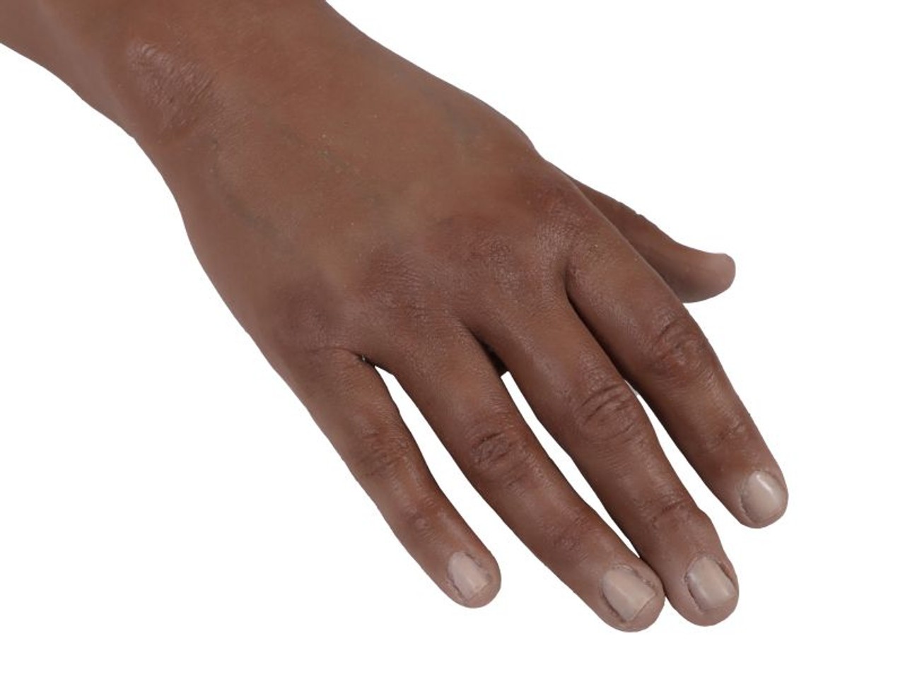 Puncture Pete Hyper Realistic I.V. Training Arm