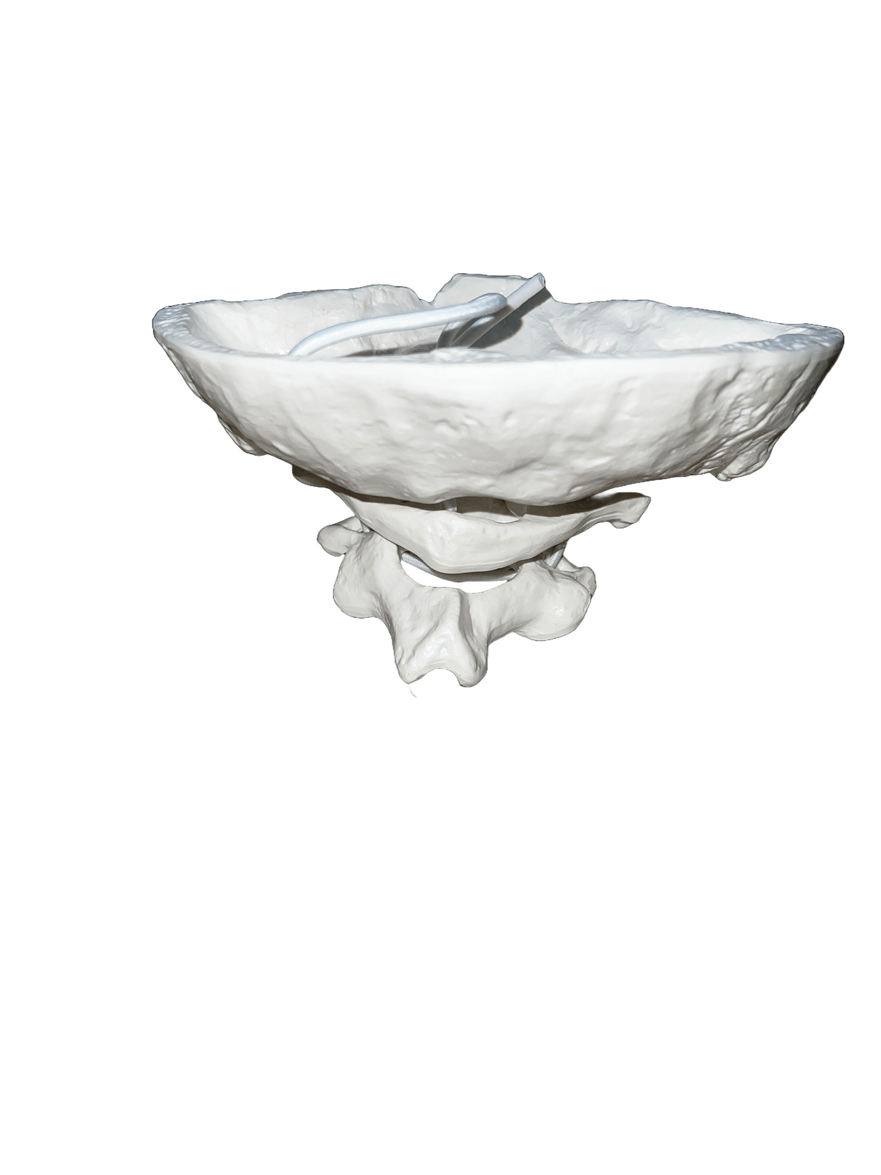 Model without base