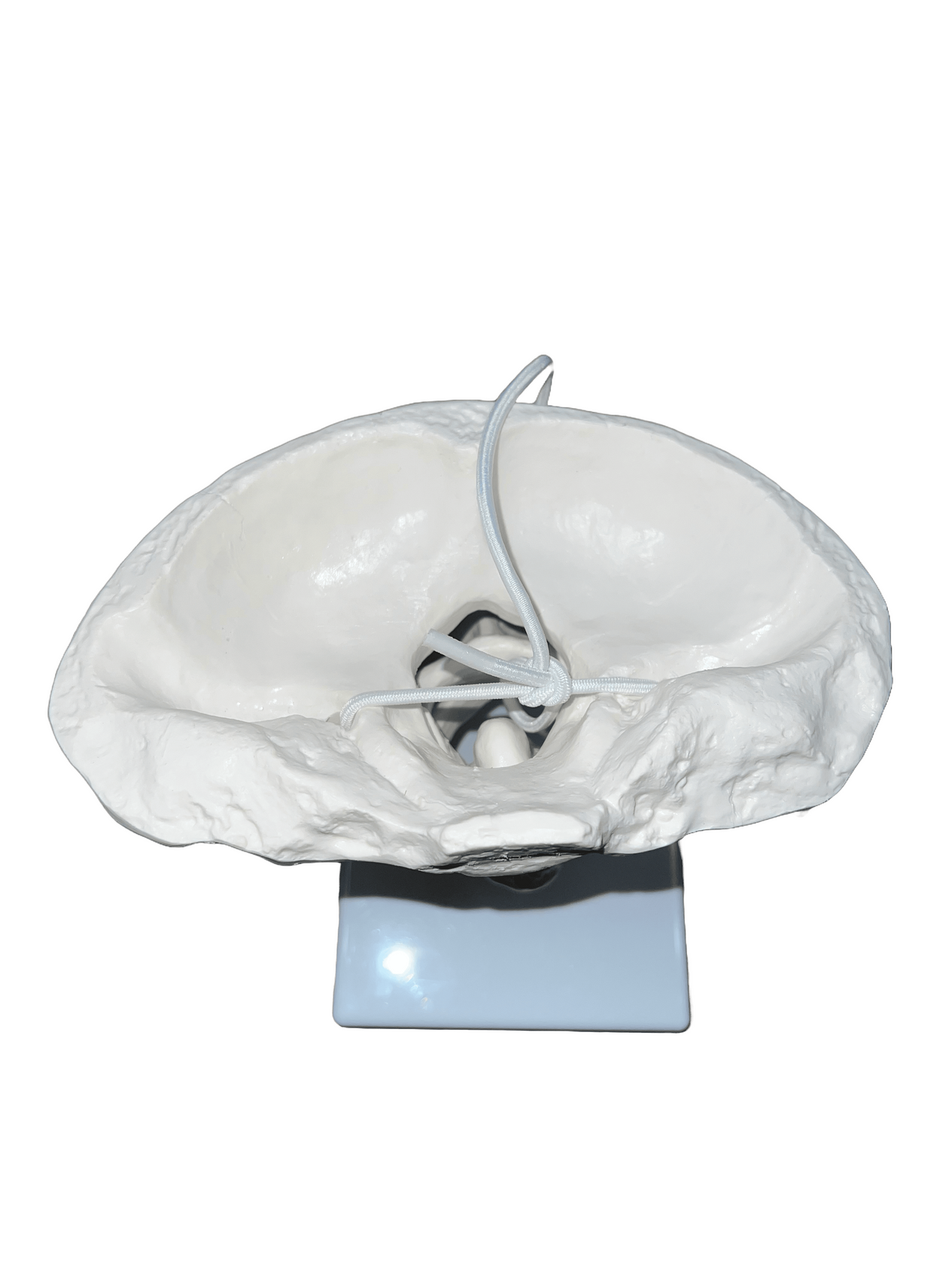 Top view of model with base