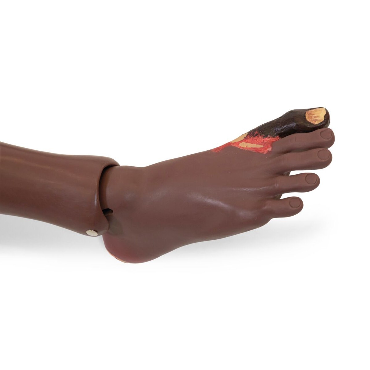 Patient Care Manikin foot view
