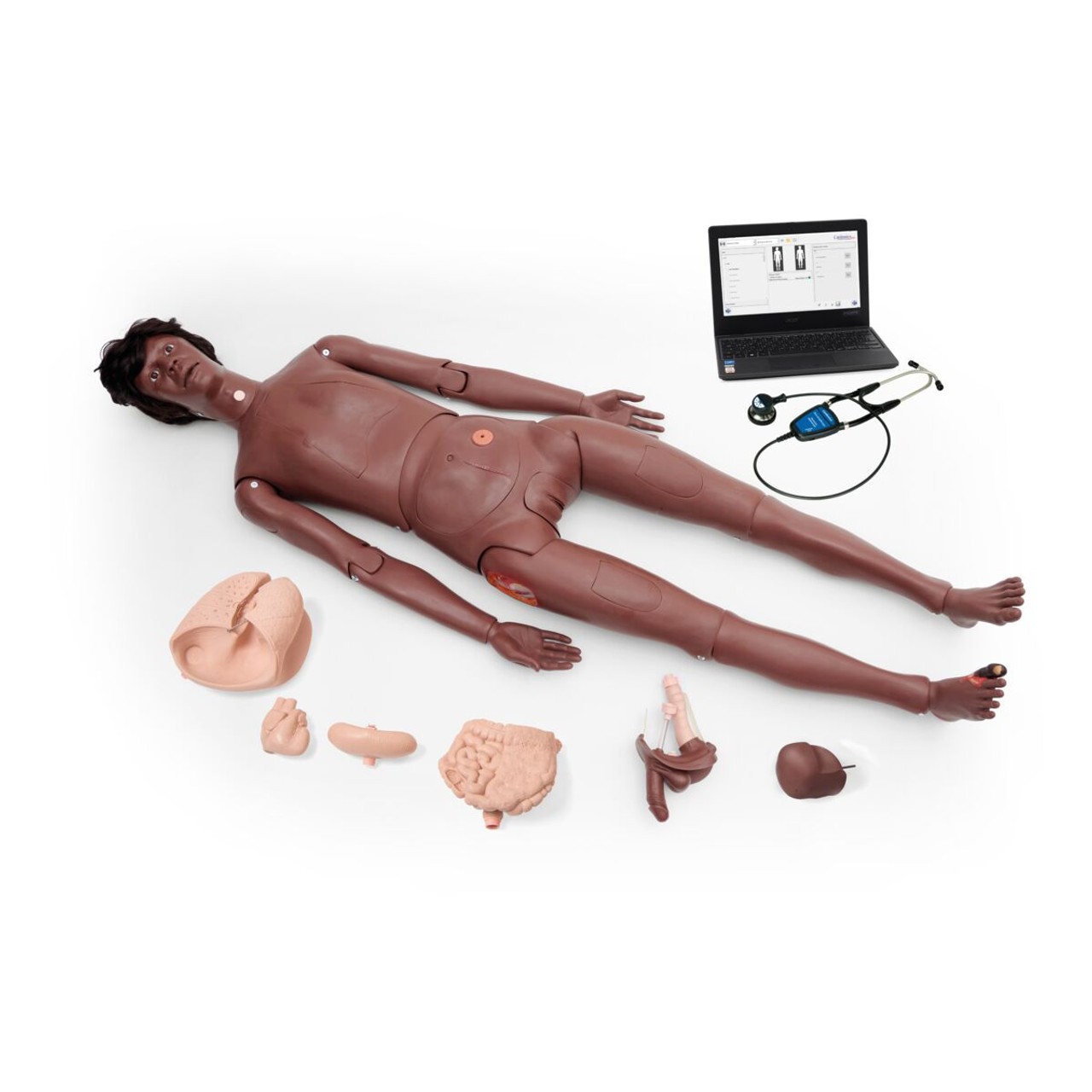 Product layout of Nikki the Nursing Manikin including all components