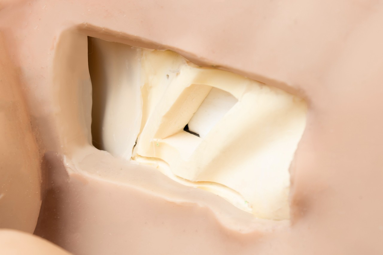 ADAM-X Xtreme Advanced Patient Simulator