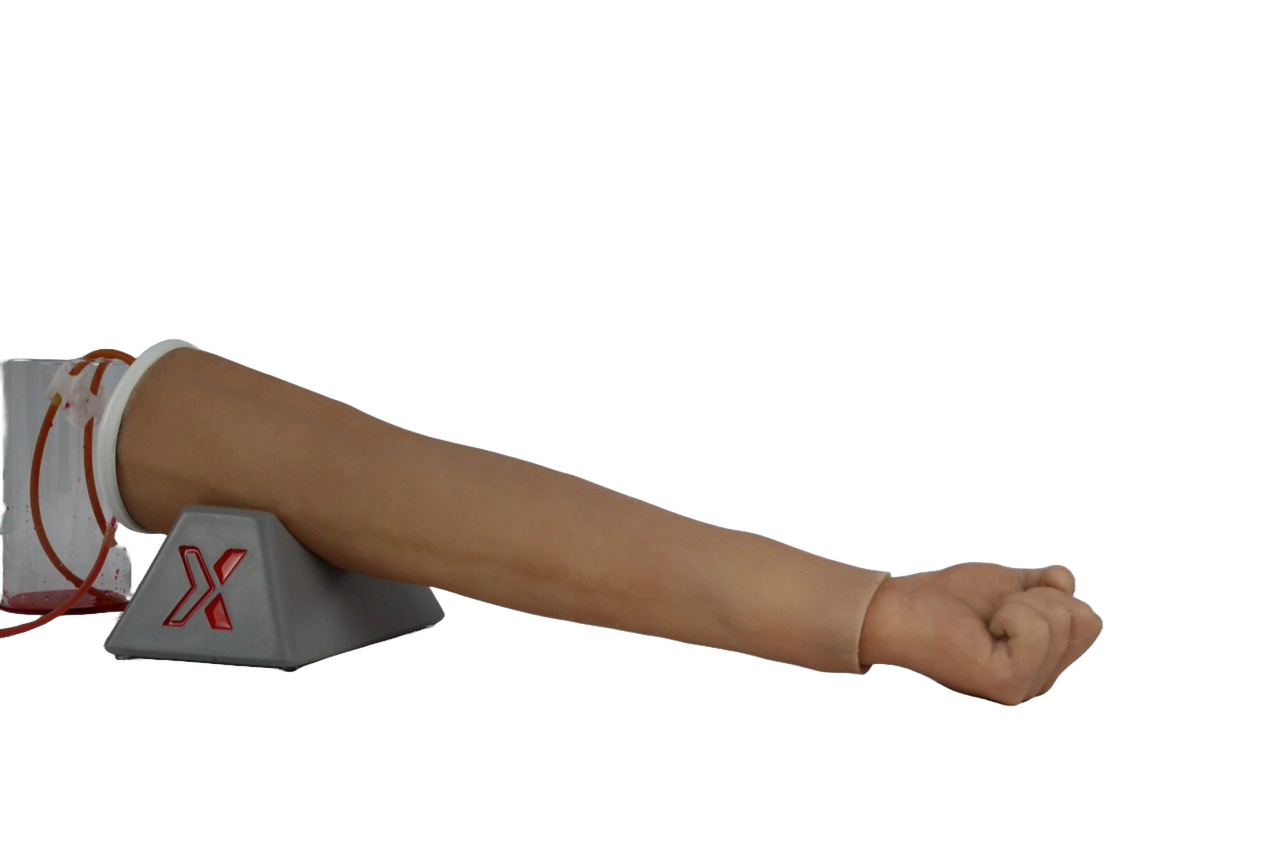 Advanced IV Arm Venipuncture Trainer