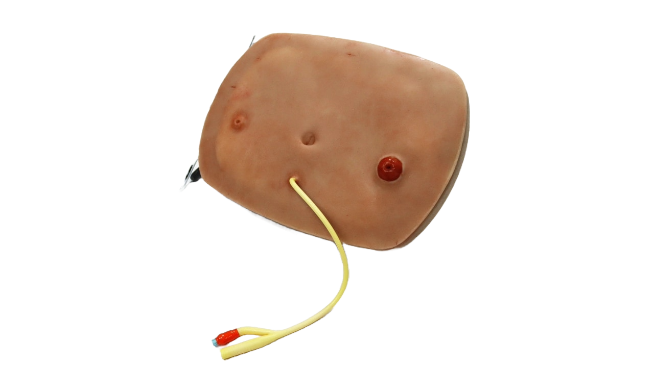 SYM Multi-Purpose Abdominal Care Task Trainer