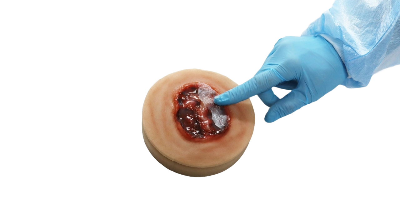 Decubitus Stage 4 Ulcer Care Task Trainer