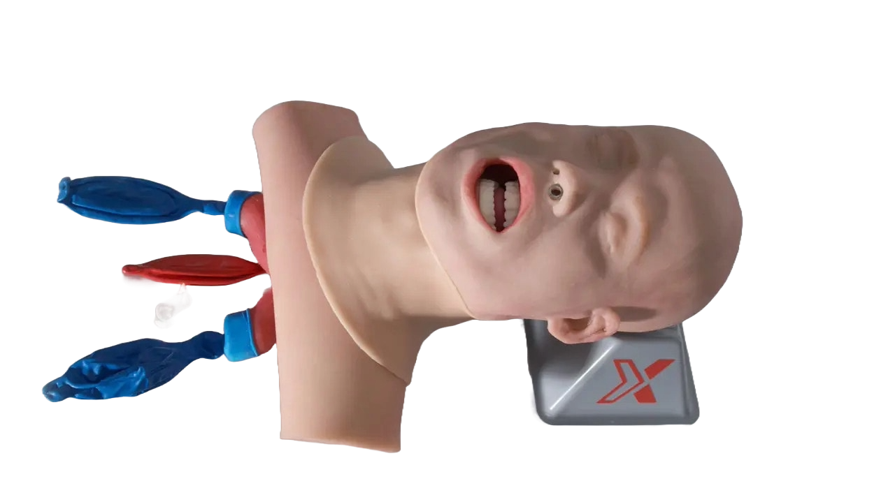 Advanced Airway Skills Task Trainer