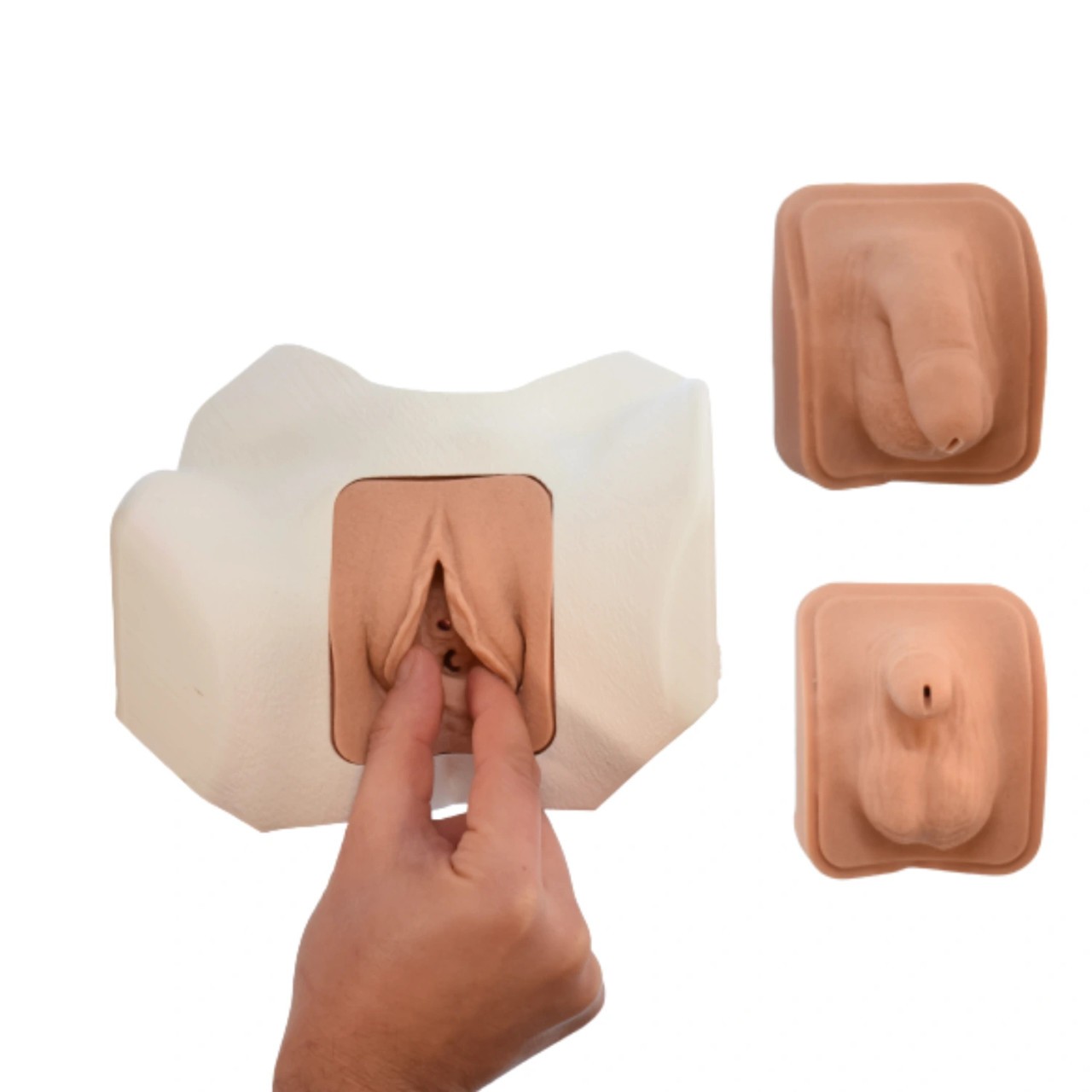 Catheterization Task Trainer