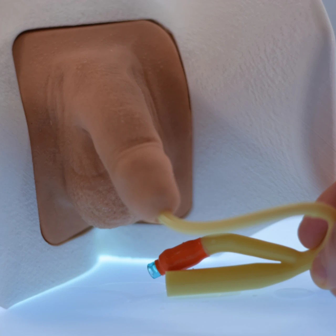 Catheterization Task Trainer
