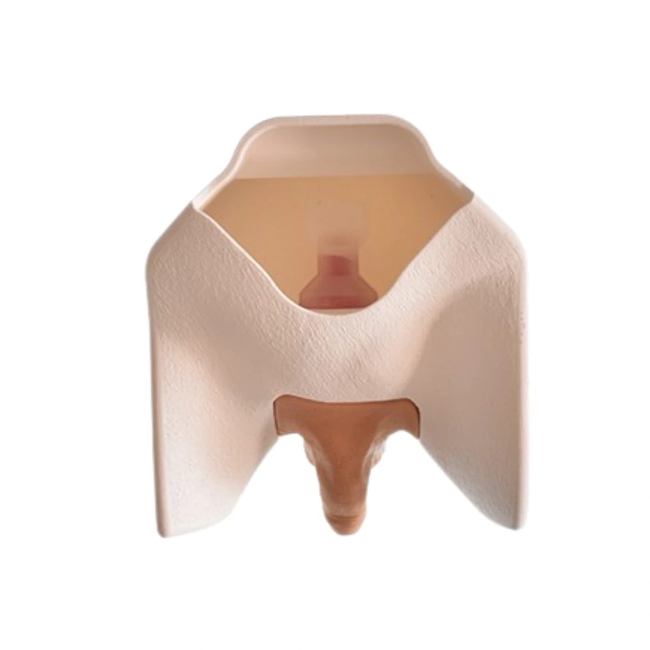 Catheterization Task Trainer
