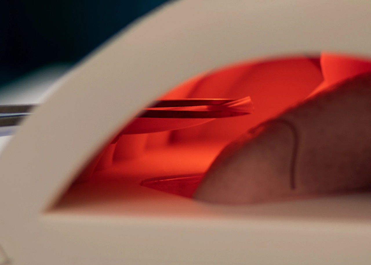 Chest Drain and Needle Decompression Task Trainer