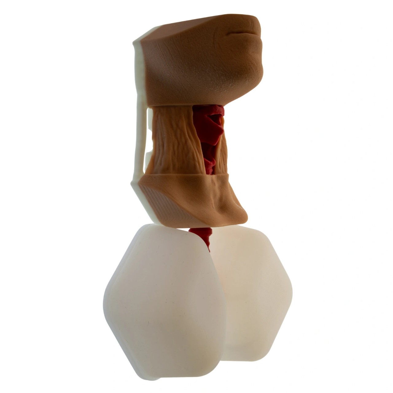 Essential Cricothyroidotomy Task Trainer