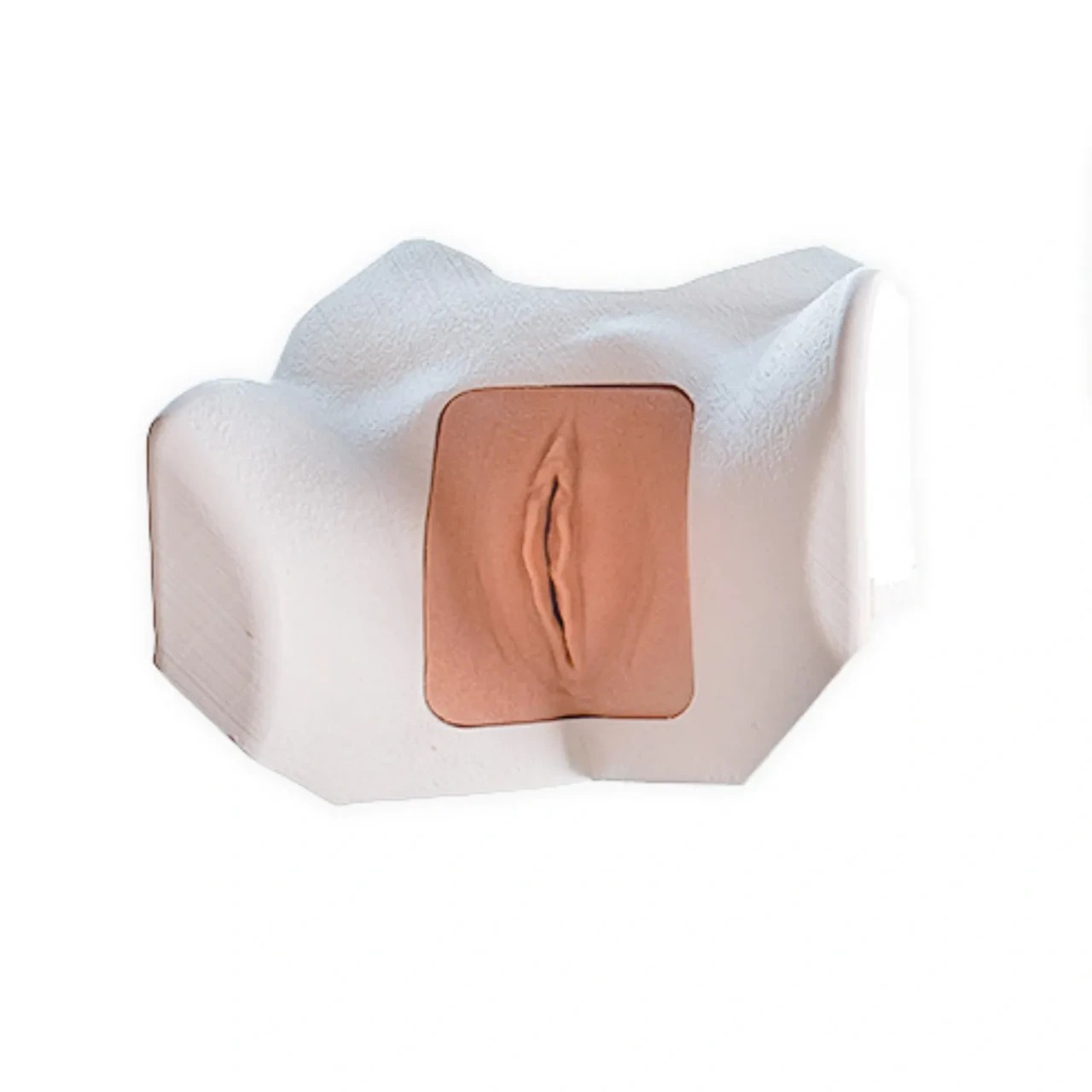 Essential Female Catheterization Task Trainer