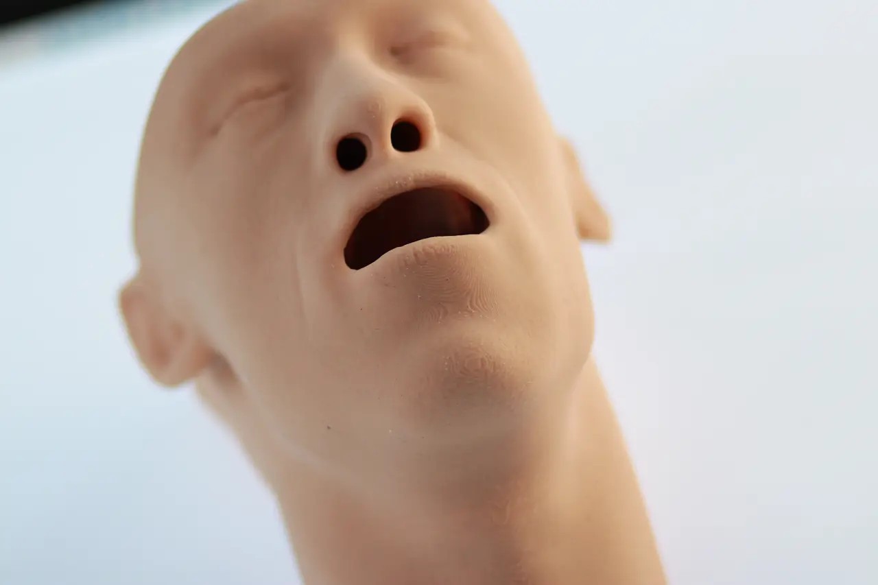 Essential Airway Adjunct Placement Task Trainer