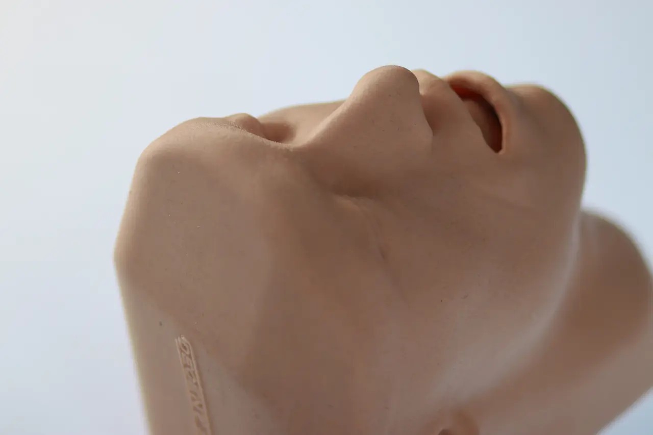 Essential Airway Adjunct Placement Task Trainer