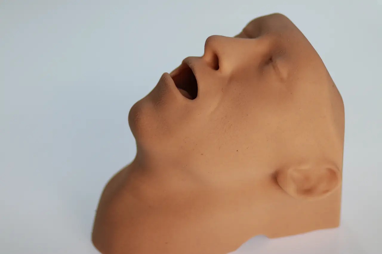 Essential Airway Adjunct Placement Task Trainer