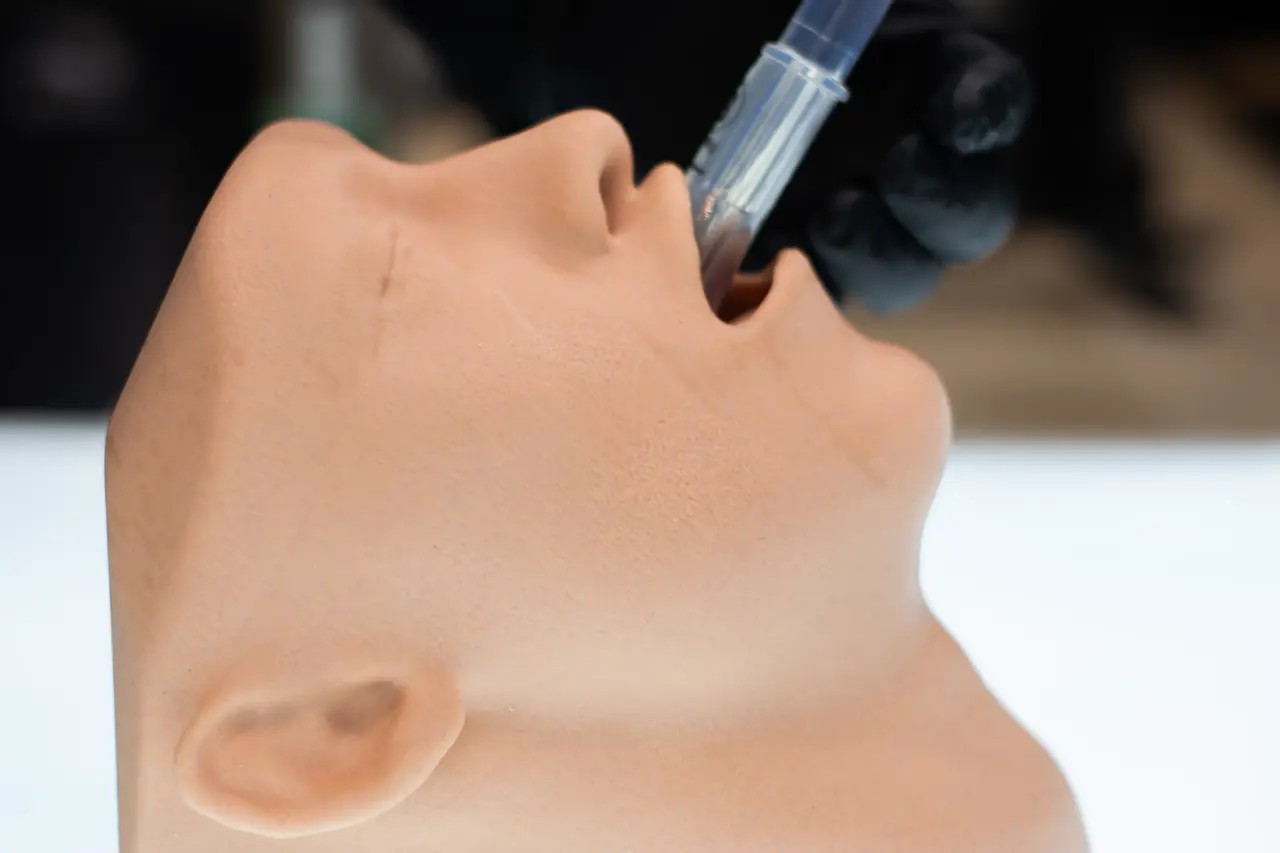 Essential Airway Adjunct Placement Task Trainer