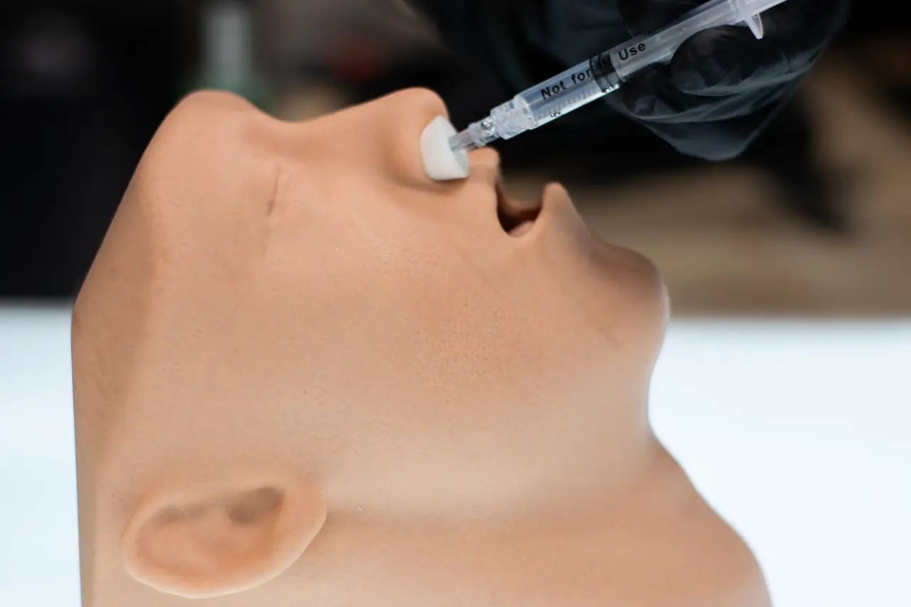 Essential Airway Adjunct Placement Task Trainer