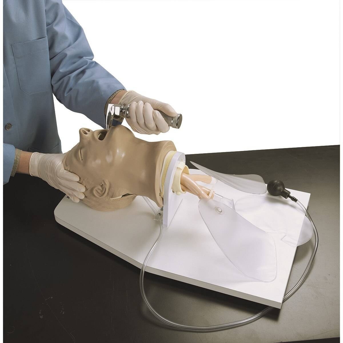Life/form "Airway Larry" Adult Airway Management Trainer with Stand