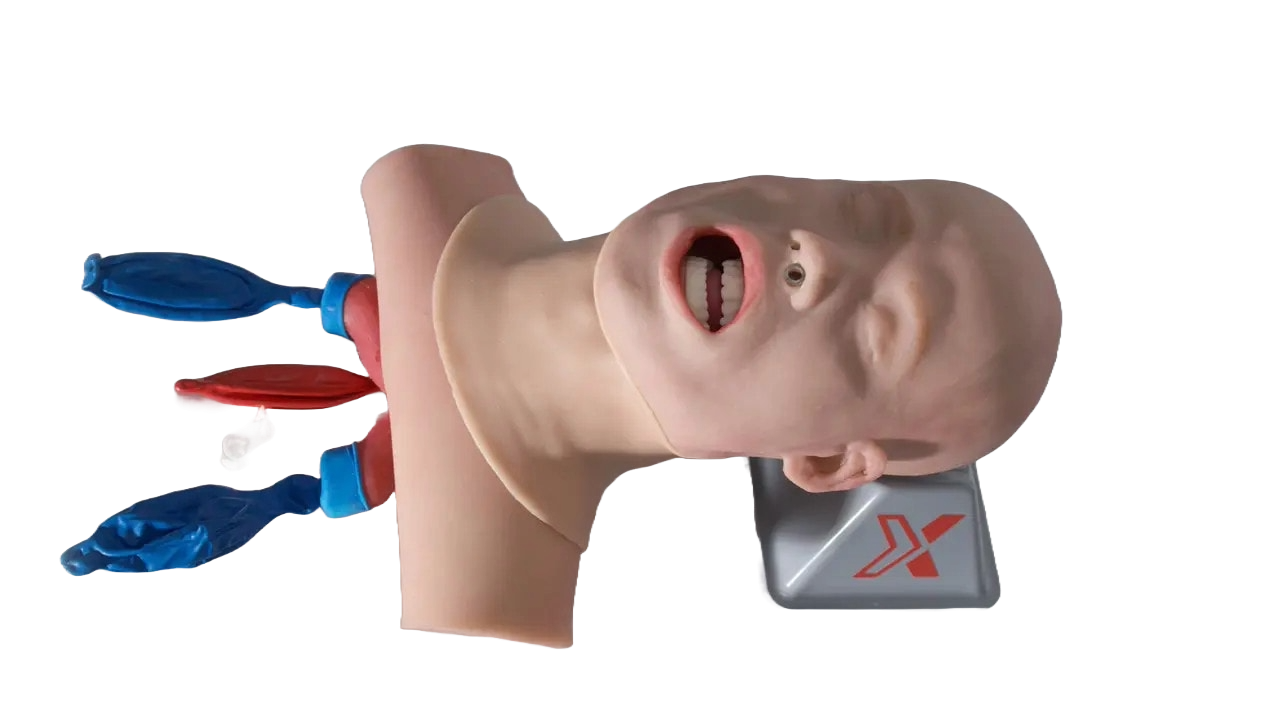 Advanced Airway Skills Task Trainer