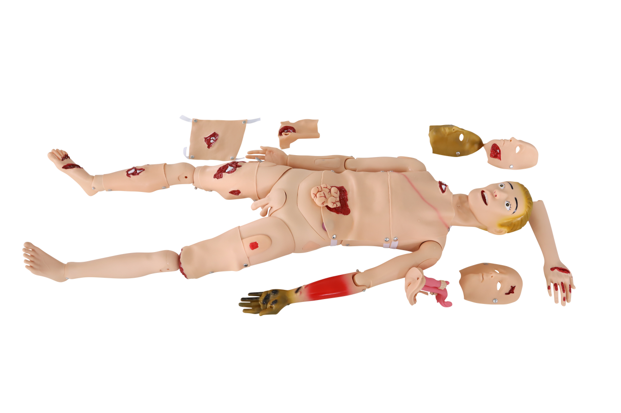 Anatomy Lab Trauma Manikin
