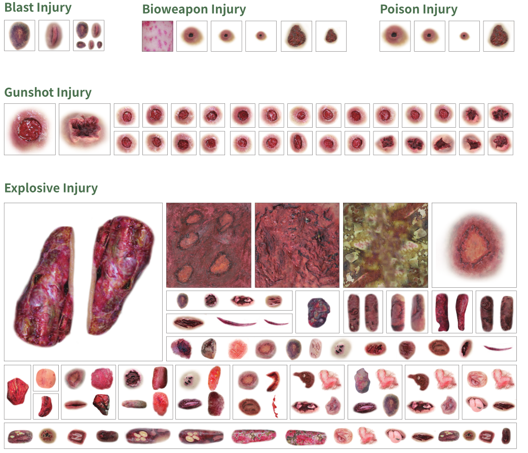 Anatomy Lab Trauma Quick Kit