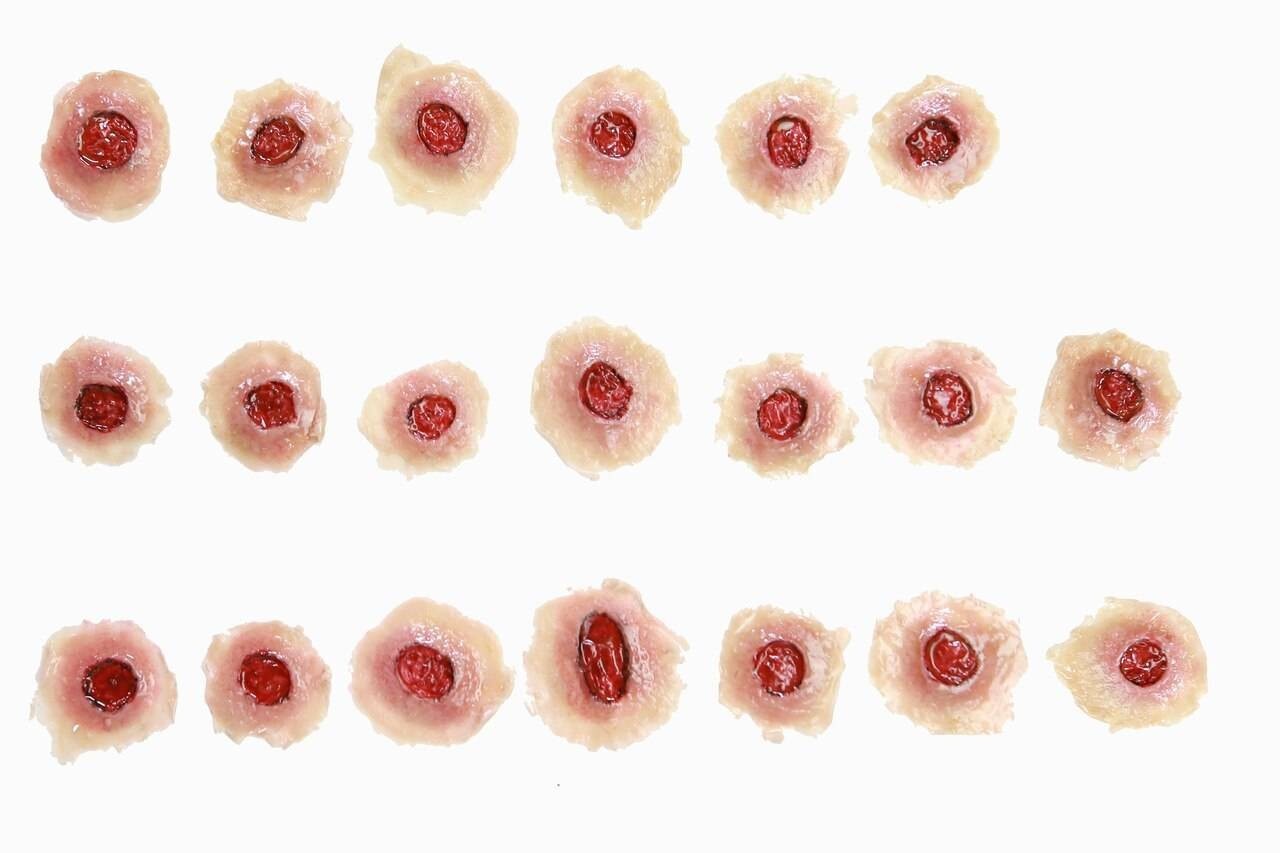 Anatomy Lab Moulage - 20 Piece Set of Gunshot Entry Wounds
