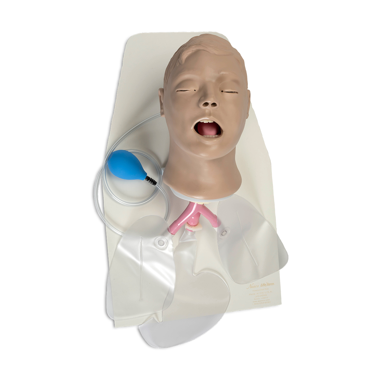 Airway Larry Airway Management Trainer with Stand and Case