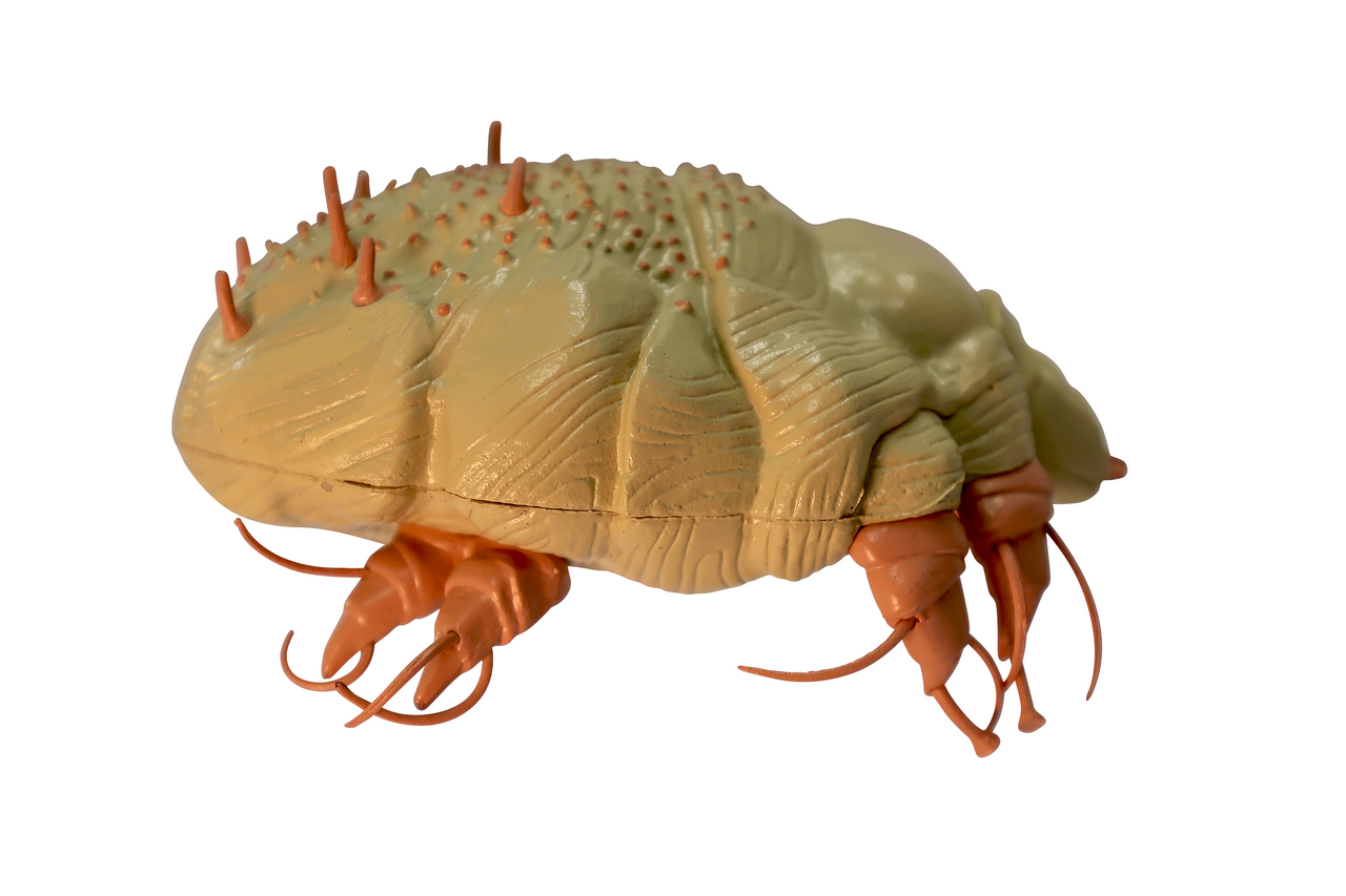 Axis Scientific Veterinary Pest Model Bundle