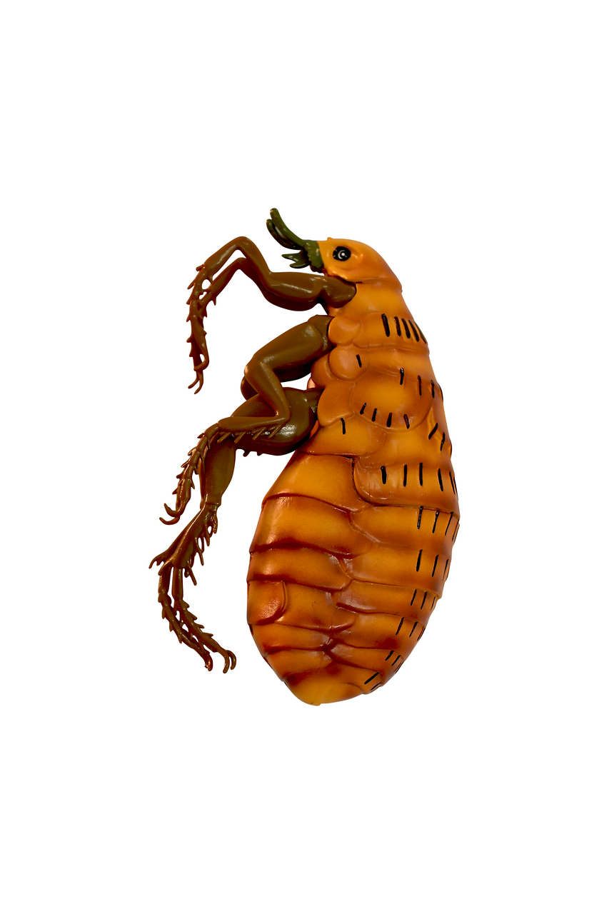 Axis Scientific Veterinary Pest Model Bundle